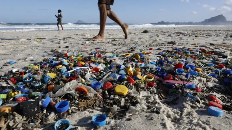 Micro e nanoplásticos contaminam água, ar e alimentos, mostra estudo