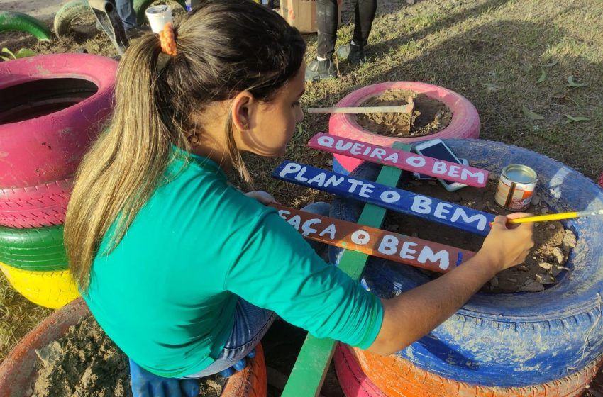 Desenvolvimento Sustentável revitaliza área de descarte
