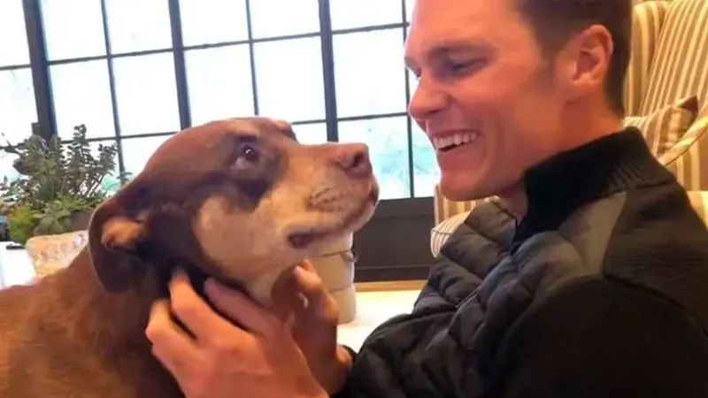 Tom Brady revela que clonou cachorra adotada com Gisele Bündchen morta há 2 anos
