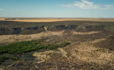 Após cinco anos de aumento, desmatamento no Cerrado tem queda