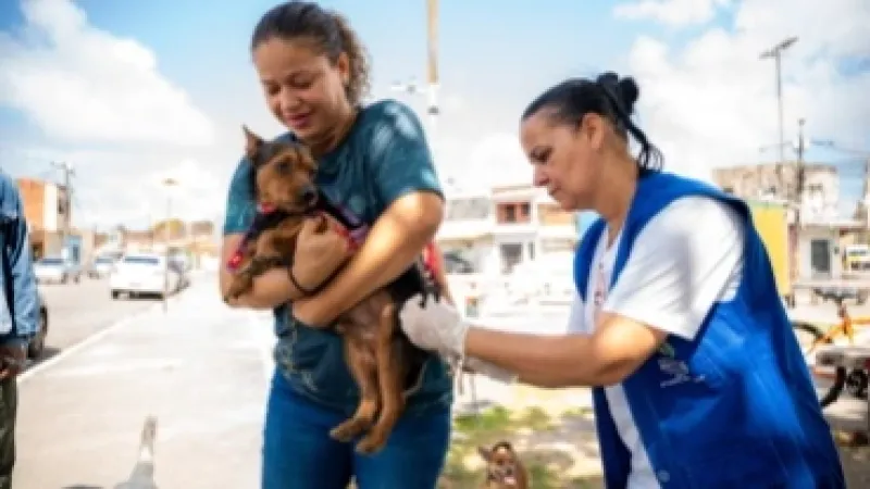 Prefeitura de Maceió realiza último dia de vacinação antirrábica no próximo sábado(8)