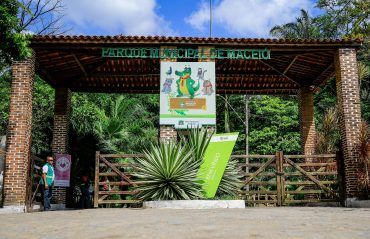Visitas batem recorde e Parque Municipal recebe mais de 9 mil pessoas em outubro