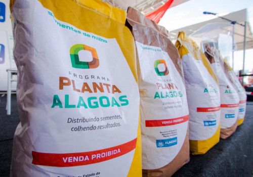 Secretaria de Agricultura abre inscrições para o Planta Alagoas 2024