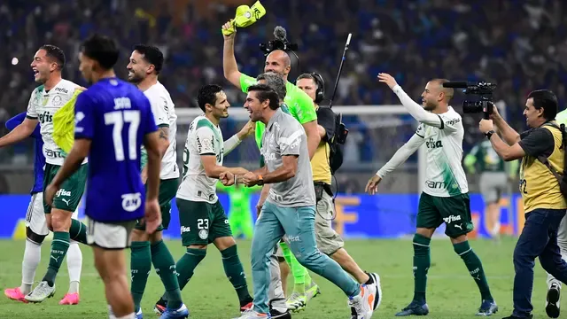 Verdão é dodecacampeão brasileiro, Santos, Goiás, Coritiba e América-MG foram rebaixados para a Série B 