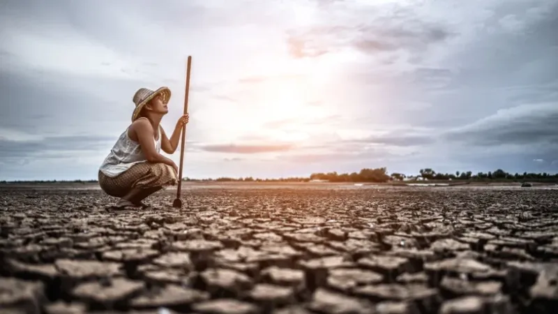 Solastalgia: entenda o sofrimento psicológico causado pela crise climática
