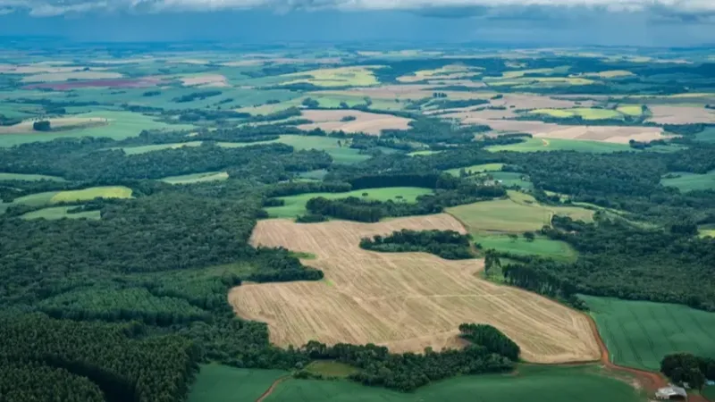 Desmatamento na Amazônia cai 11% e atinge menor nível em 11 anos