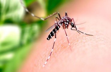 Saúde orienta população sobre prevenção à Dengue, Zika e Chikungunya