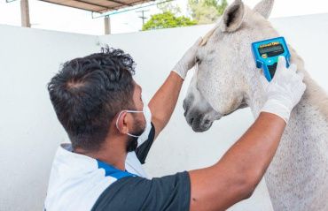 Centro de Zoonoses atua na prevenção de doenças transmitidas por animais