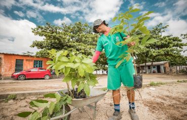 Espaços públicos de Maceió receberam 12 mil mudas de árvores nativas em 2023