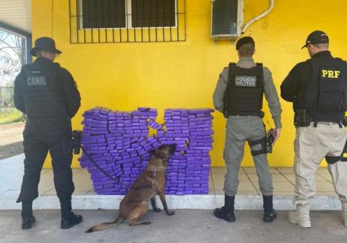 Polícia Militar apreende mais de 190 quilos de maconha em São Sebastião