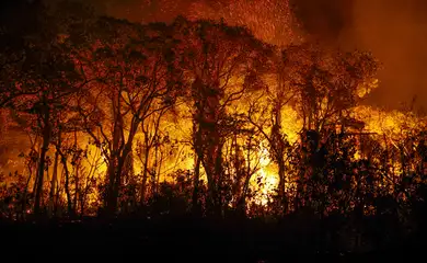 PF investiga incêndios criminosos no Pantanal