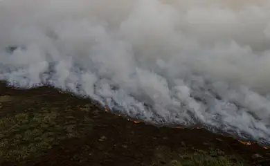 Brigadistas intensificam trabalho de combate a incêndios no Pantanal