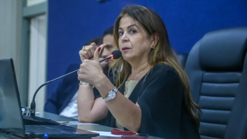 Vereadores cobram maior responsabilidade na garantia de proteção e direito à vida das mulheres