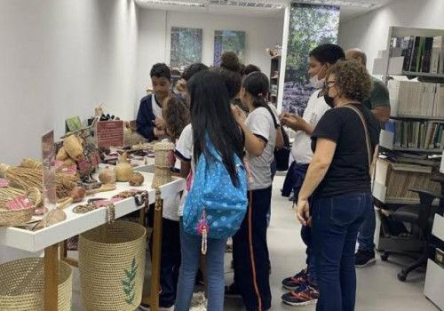 IMA oferece oficina gratuita sobre práticas de herbário