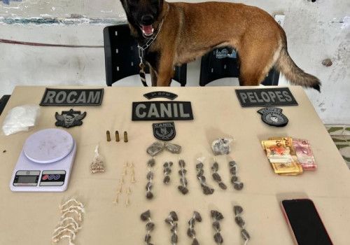Com auxílio de cão farejador, PM prende homem em ponto de drogas em Arapiraca
