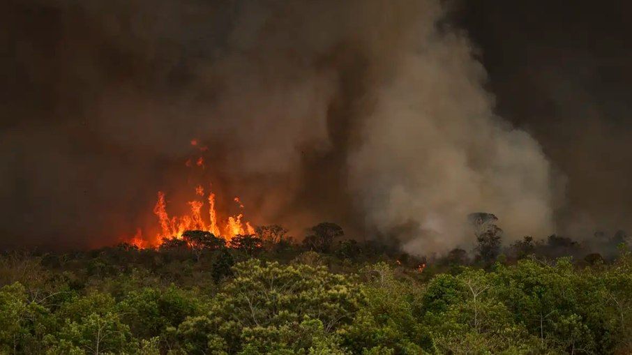 Número de focos de incêndio cai quase 70% no estado de SP