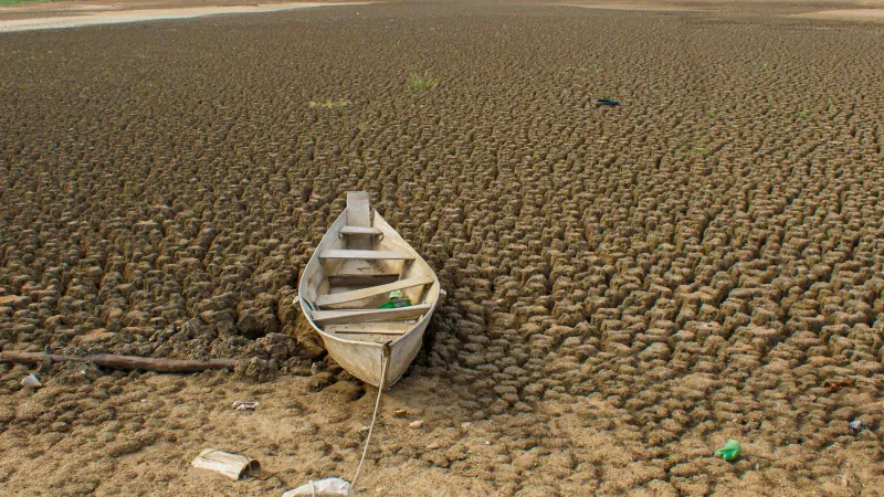 Brasil promete restaurar 163 mil km² de terras degradadas até 2030