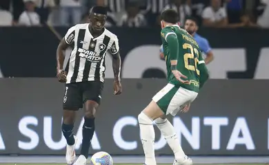 Botafogo recebe Palmeiras no primeiro jogo das oitavas da Libertadores