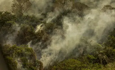 Incêndios podem ter degradado 9% do Pantanal nos últimos cinco anos