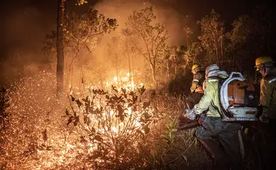 Brasil teve 11,39 milhões de hectares atingidos pelo fogo este ano