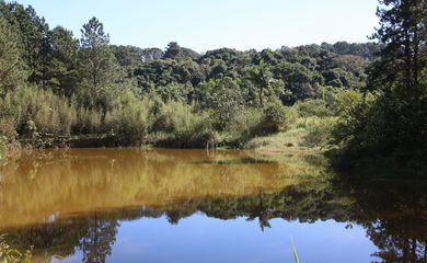 Superfície de água encolheu em países amazônicos
