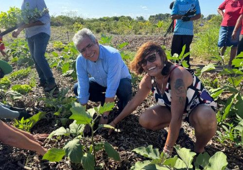 Programa Hortas Urbanas alcança 3 mil alagoanos em 2024