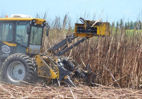 Governo comemora previsão de safra 23/24 da cana-de-açúcar, que deve superar 19 milhões de toneladas