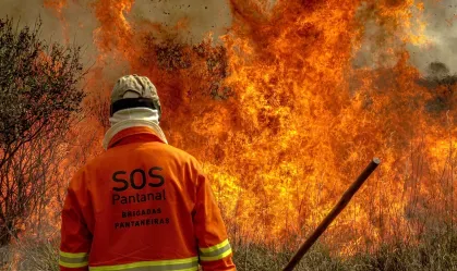 Pantanal é o bioma mais atingido por incêndios em 40 anos