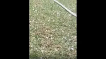 Em pleno verão, Agreste pernambucano tem chuva de granizo