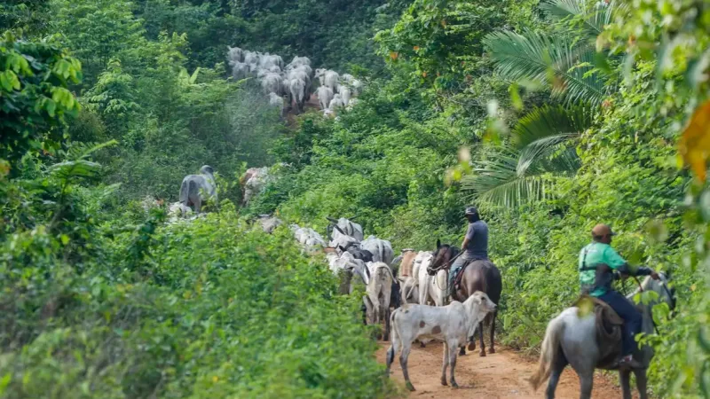 Operação em terra indígena no Pará resulta em mais um assassinato