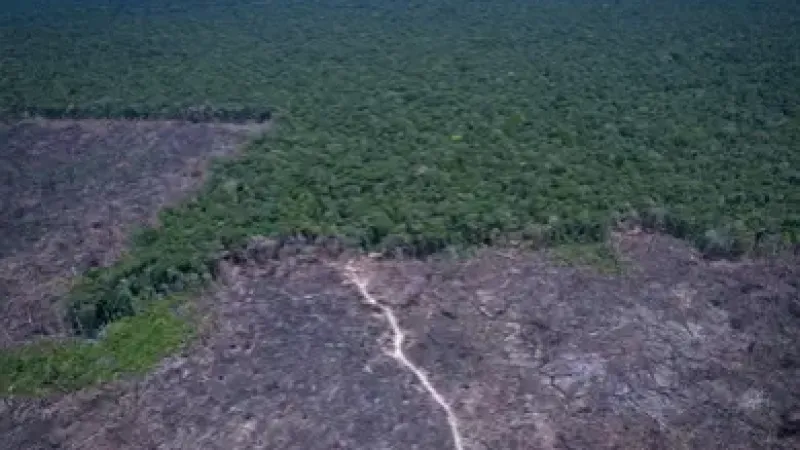 Brasil pode antecipar para 2040 a neutralidade de emissões de CO2