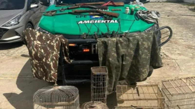 PM apreende armas, materiais de caça e pássaros silvestres em operação no interior