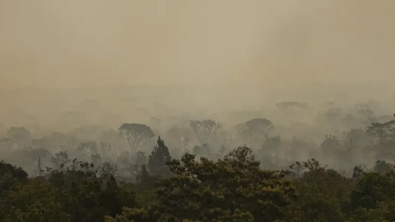 Força Nacional do SUS apoia atendimentos no Amazonas após incêndios
