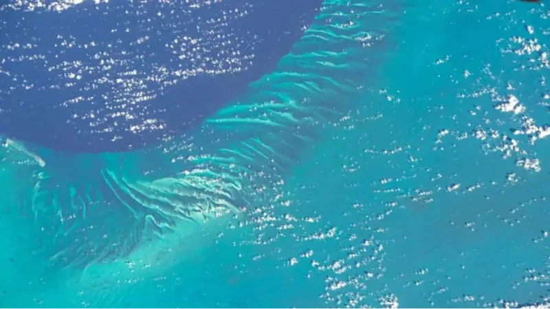 Oceanos ficaram próximos de seu recorde de calor em março, alerta observatório
