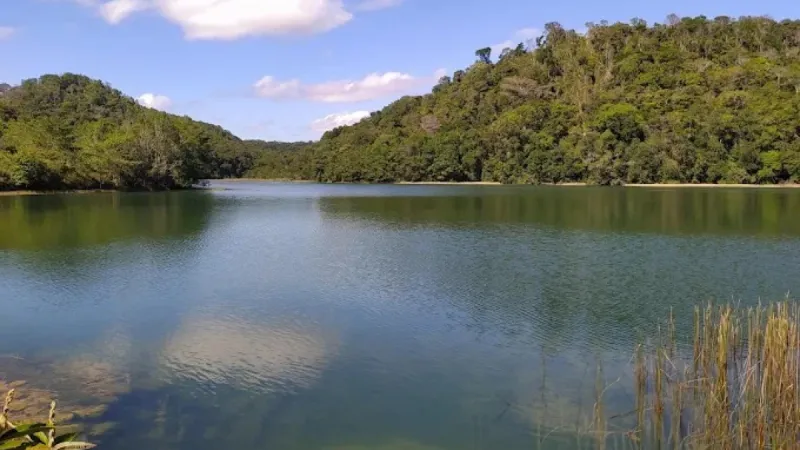 APA do Catolé sofre invasões, e Casal emite alerta ambiental