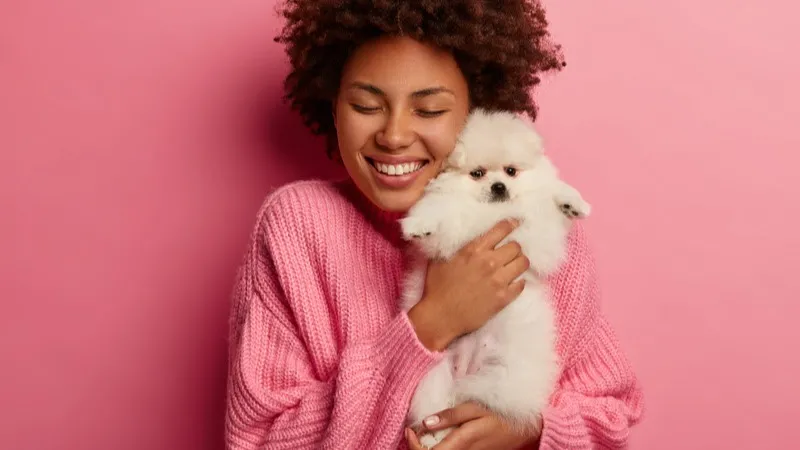 Outubro Rosa dos pets: como prevenir e identificar o câncer de mama em cães e gatos