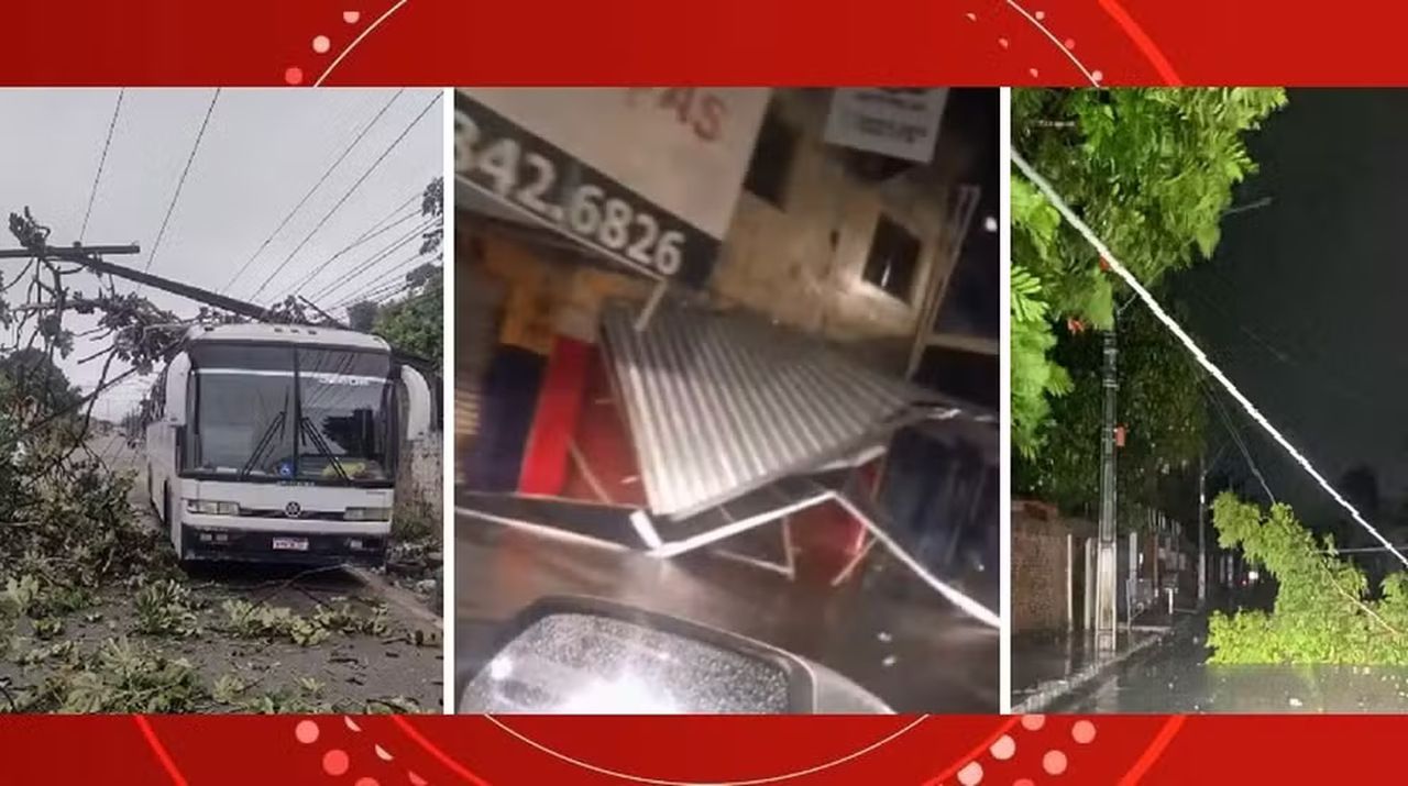 Temporal com ventania forte derrubou árvores, postes e até marquise de lojas em Maceió