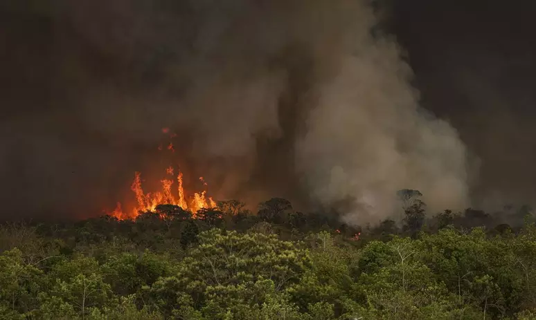 Às vésperas da COP30, desmatamento na Amazônia aumenta 91% em maio
