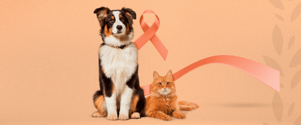 A Importância da Prevenção do Câncer de Mama de Cadelas e Gatas