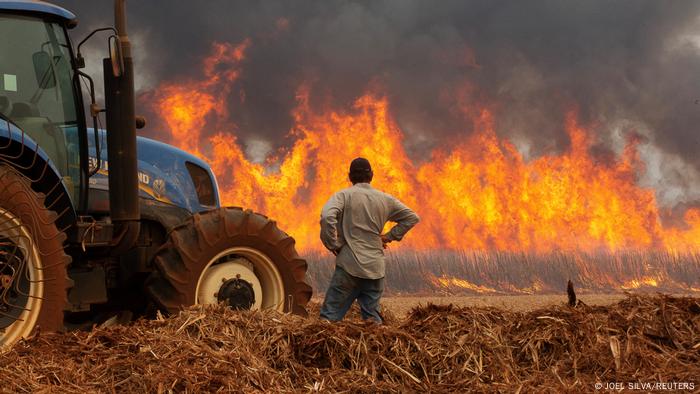 Brasil registra mais de 5 mil focos de incêndio em 24 horas