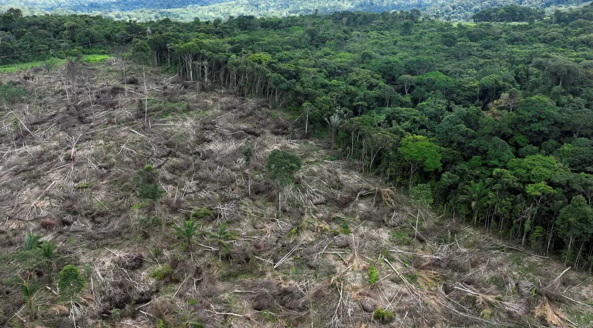 Desmatamento cai 51,1% na Amazônia, diz Ministério do Meio Ambiente
