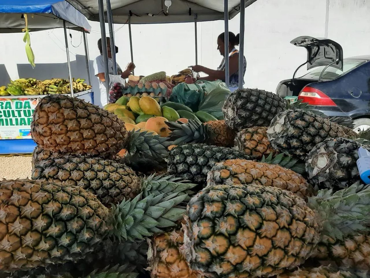Feira da agricultura familiar é realizada na Jatiúca, em Maceió
