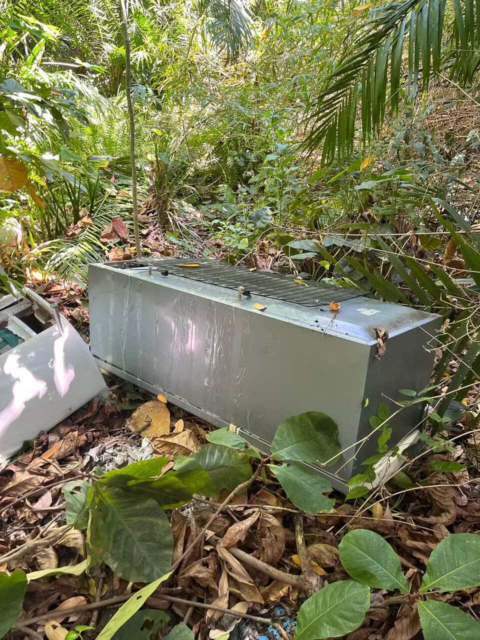 Veja o que se sabe e o que falta esclarecer sobre mulher achada morta em geladeira em Maceió